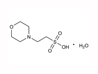 Megazyme® MES一水和物 緩衝剤粉末 B-MES250