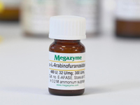 Megazyme® α-L-アラビノフラノシダーゼ（Aspergillus niger 由来） E-AFASE
