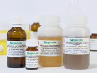 Megazyme® アミログルコシダーゼ （Aspergillus niger 由来） E-AMGDF-40ML