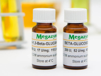 Megazyme®  β-グルコシダーゼ（Aspergillus sp. 由来） E-BGLUC