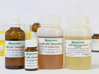 Megazyme® α-アミラーゼ（Bacillus licheniformis 由来） E-BLAAM-40ML
