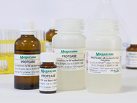 Megazyme® プロテアーゼ(Bacillus licheniformis 由来) E-BSPRT-100ML