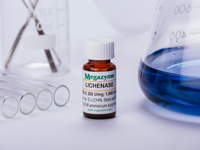 Megazyme® リケナーゼ（エンド-β-1,3:1,4-D-グルカナーゼ）（Bacillus subtilis 由来） E-LICHN