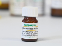 Megazyme® α-グルコシダーゼ（酵母マルターゼ） E-MALTS