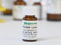 Megazyme® ペクチン酸リアーゼ E-PCLYAN