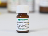 Megazyme® α-グルコシダーゼ（Bacillus stearothermophilus 由来）（Recombinant） E-TSAGS