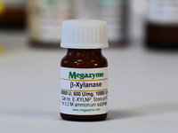 Megazyme® エンド-β-1,4-キシラナーゼ（Neocallimastix patriciarum 由来） E-XYLNP