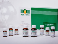 Megazyme® D-乳酸/L-乳酸測定キット(迅速法) K-DLATE